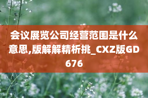 会议展览公司经营范围是什么意思,版解解精析挑_CXZ版GD676