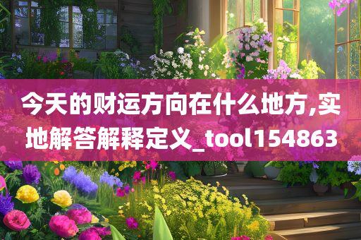 今天的财运方向在什么地方,实地解答解释定义_tool154863