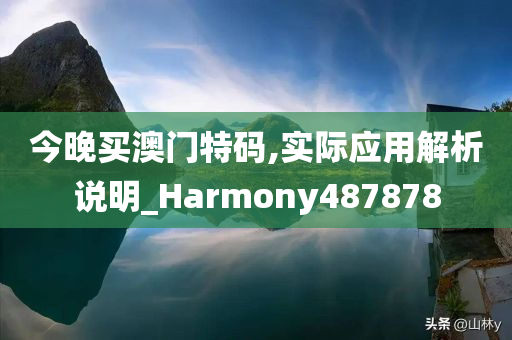 今晚买澳门特码,实际应用解析说明_Harmony487878