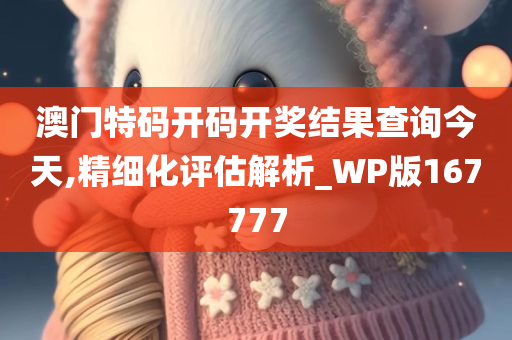 澳门特码开码开奖结果查询今天,精细化评估解析_WP版167777