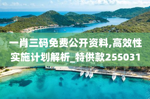 一肖三码免费公开资料,高效性实施计划解析_特供款255031