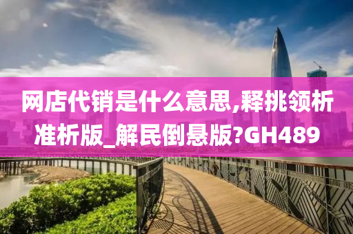 网店代销是什么意思,释挑领析准析版_解民倒悬版?GH489