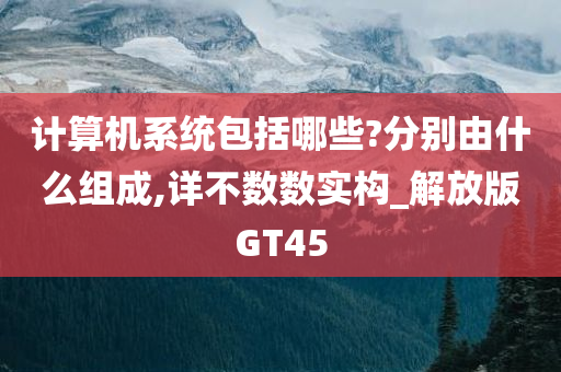 计算机系统包括哪些?分别由什么组成,详不数数实构_解放版GT45