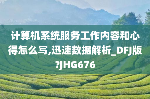 计算机系统服务工作内容和心得怎么写,迅速数据解析_DFJ版?JHG676