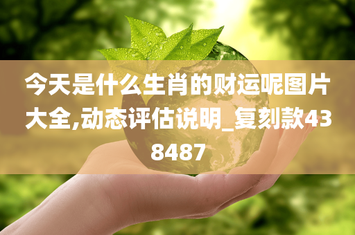 今天是什么生肖的财运呢图片大全,动态评估说明_复刻款438487