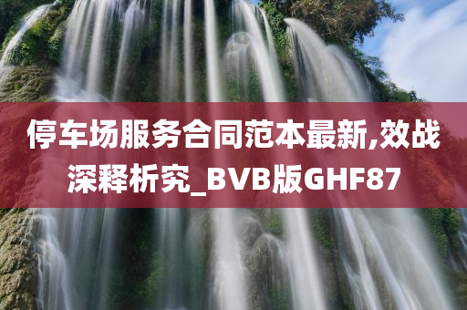 停车场服务合同范本最新,效战深释析究_BVB版GHF87