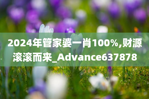 2024年管家婆一肖100%,财源滚滚而来_Advance637878