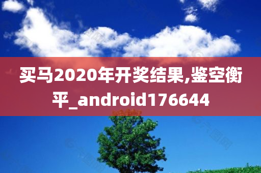 买马2020年开奖结果,鉴空衡平_android176644