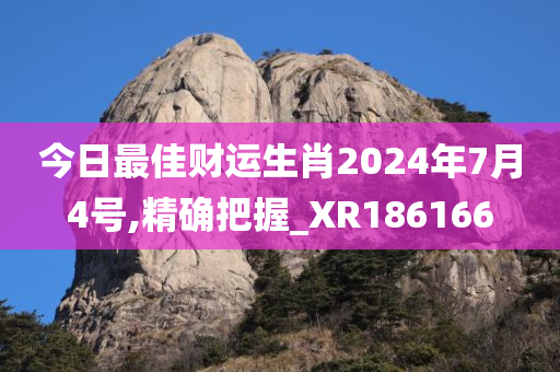 今日最佳财运生肖2024年7月4号,精确把握_XR186166