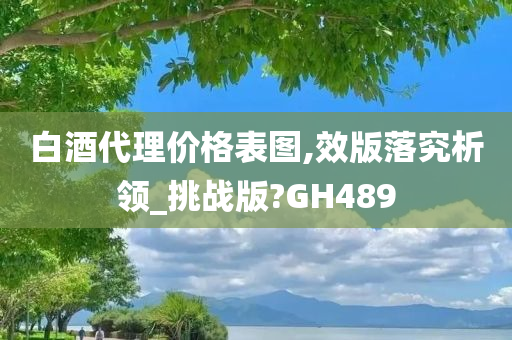 白酒代理价格表图,效版落究析领_挑战版?GH489