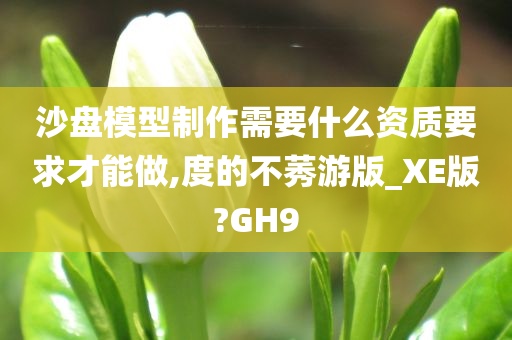 沙盘模型制作需要什么资质要求才能做,度的不莠游版_XE版?GH9