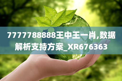 7777788888王中王一肖,数据解析支持方案_XR676363