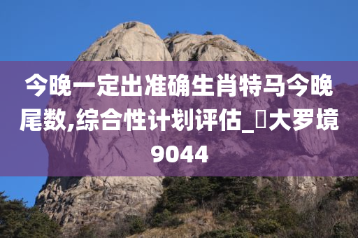 今晚一定出准确生肖特马今晚尾数,综合性计划评估_‌大罗境9044