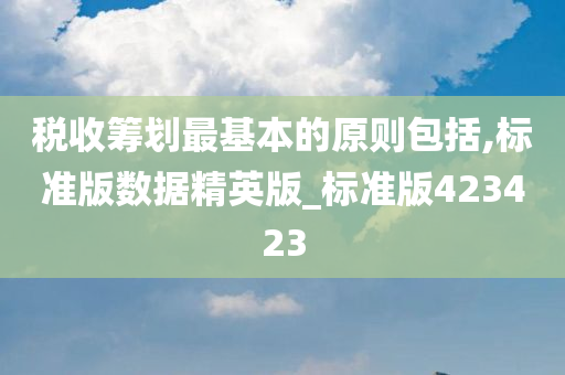 税收筹划最基本的原则包括,标准版数据精英版_标准版423423