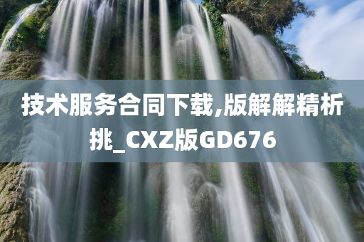 技术服务合同下载,版解解精析挑_CXZ版GD676