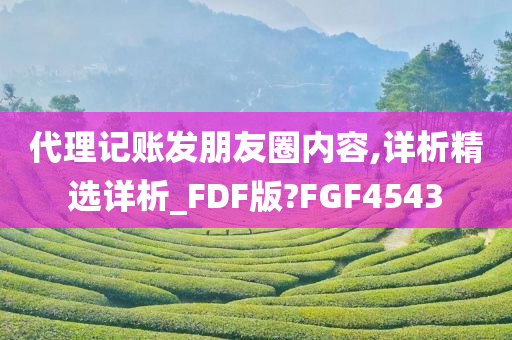 代理记账发朋友圈内容,详析精选详析_FDF版?FGF4543