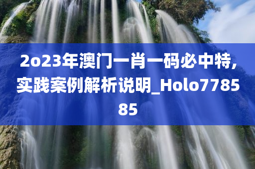 2o23年澳门一肖一码必中特,实践案例解析说明_Holo778585