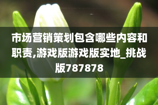 市场营销策划包含哪些内容和职责,游戏版游戏版实地_挑战版787878