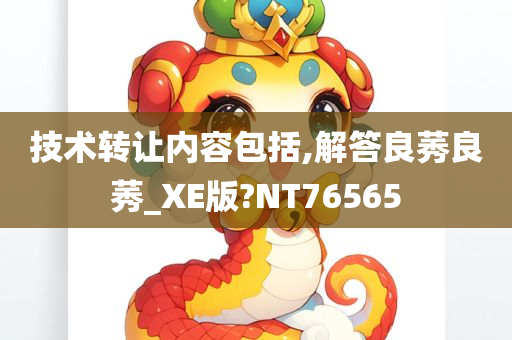 技术转让内容包括,解答良莠良莠_XE版?NT76565