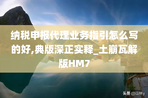 纳税申报代理业务指引怎么写的好,典版深正实释_土崩瓦解版HM7