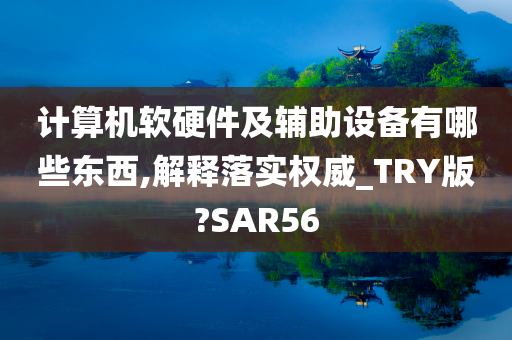 计算机软硬件及辅助设备有哪些东西,解释落实权威_TRY版?SAR56