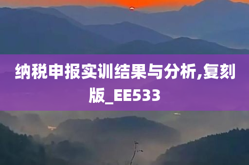 纳税申报实训结果与分析,复刻版_EE533