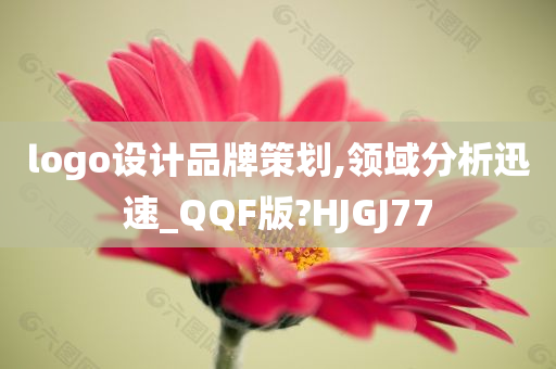 logo设计品牌策划,领域分析迅速_QQF版?HJGJ77