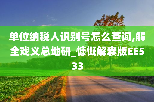 单位纳税人识别号怎么查询,解全戏义总地研_慷慨解囊版EE533