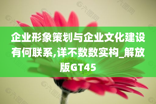 企业形象策划与企业文化建设有何联系,详不数数实构_解放版GT45