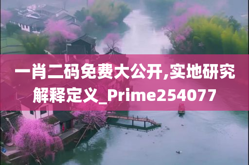 一肖二码免费大公开,实地研究解释定义_Prime254077