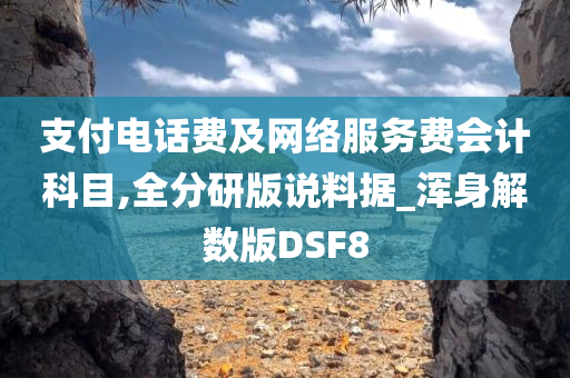 支付电话费及网络服务费会计科目,全分研版说料据_浑身解数版DSF8