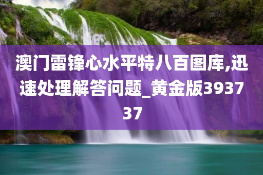 澳门雷锋心水平特八百图库,迅速处理解答问题_黄金版393737