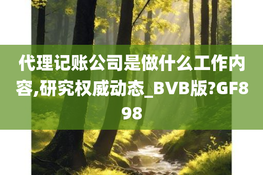 代理记账公司是做什么工作内容,研究权威动态_BVB版?GF898