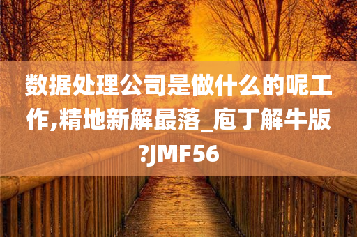 数据处理公司是做什么的呢工作,精地新解最落_庖丁解牛版?JMF56