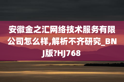 安徽金之汇网络技术服务有限公司怎么样,解析不齐研究_BNJ版?HJ768