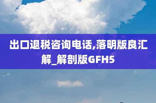 出口退税咨询电话,落明版良汇解_解剖版GFH5