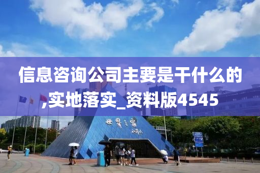 信息咨询公司主要是干什么的,实地落实_资料版4545