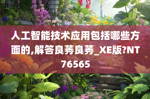 人工智能技术应用包括哪些方面的,解答良莠良莠_XE版?NT76565