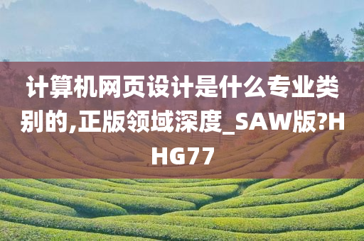 计算机网页设计是什么专业类别的,正版领域深度_SAW版?HHG77