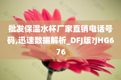 批发保温水杯厂家直销电话号码,迅速数据解析_DFJ版?JHG676