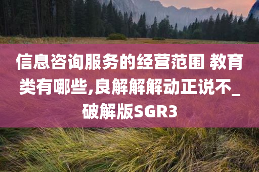 信息咨询服务的经营范围 教育类有哪些,良解解解动正说不_破解版SGR3