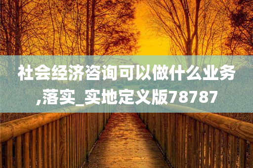 社会经济咨询可以做什么业务,落实_实地定义版78787