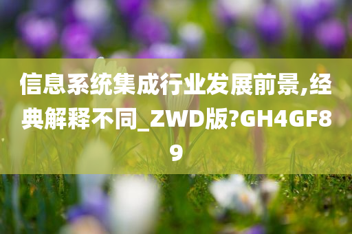 信息系统集成行业发展前景,经典解释不同_ZWD版?GH4GF89