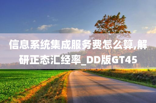 信息系统集成服务费怎么算,解研正态汇经率_DD版GT45