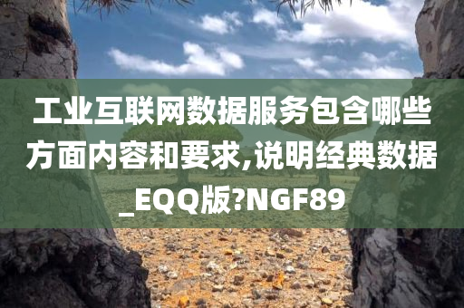 工业互联网数据服务包含哪些方面内容和要求,说明经典数据_EQQ版?NGF89