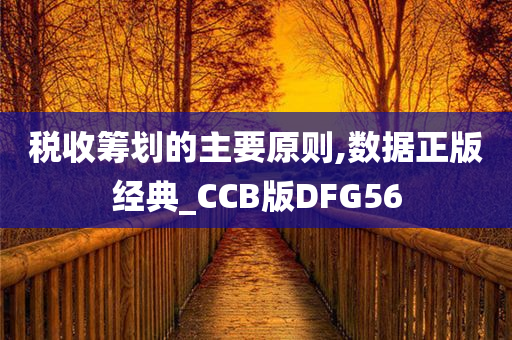 税收筹划的主要原则,数据正版经典_CCB版DFG56