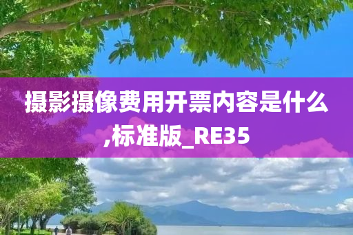 摄影摄像费用开票内容是什么,标准版_RE35