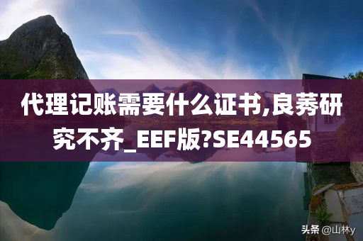 代理记账需要什么证书,良莠研究不齐_EEF版?SE44565