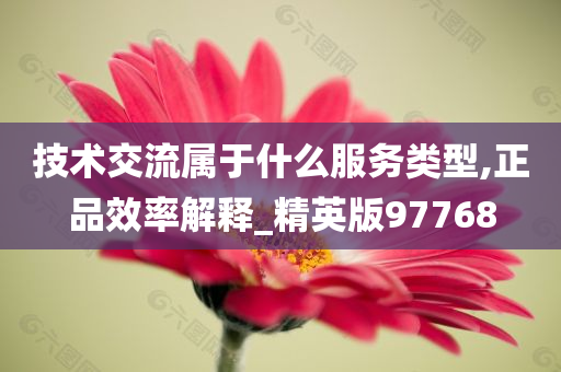 技术交流属于什么服务类型,正品效率解释_精英版97768