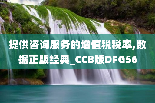 提供咨询服务的增值税税率,数据正版经典_CCB版DFG56